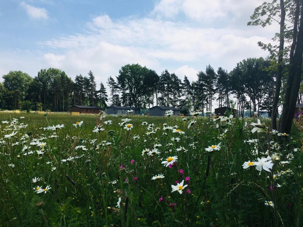 Hollicarrs - Wildflower Lodge ヨーク エクステリア 写真