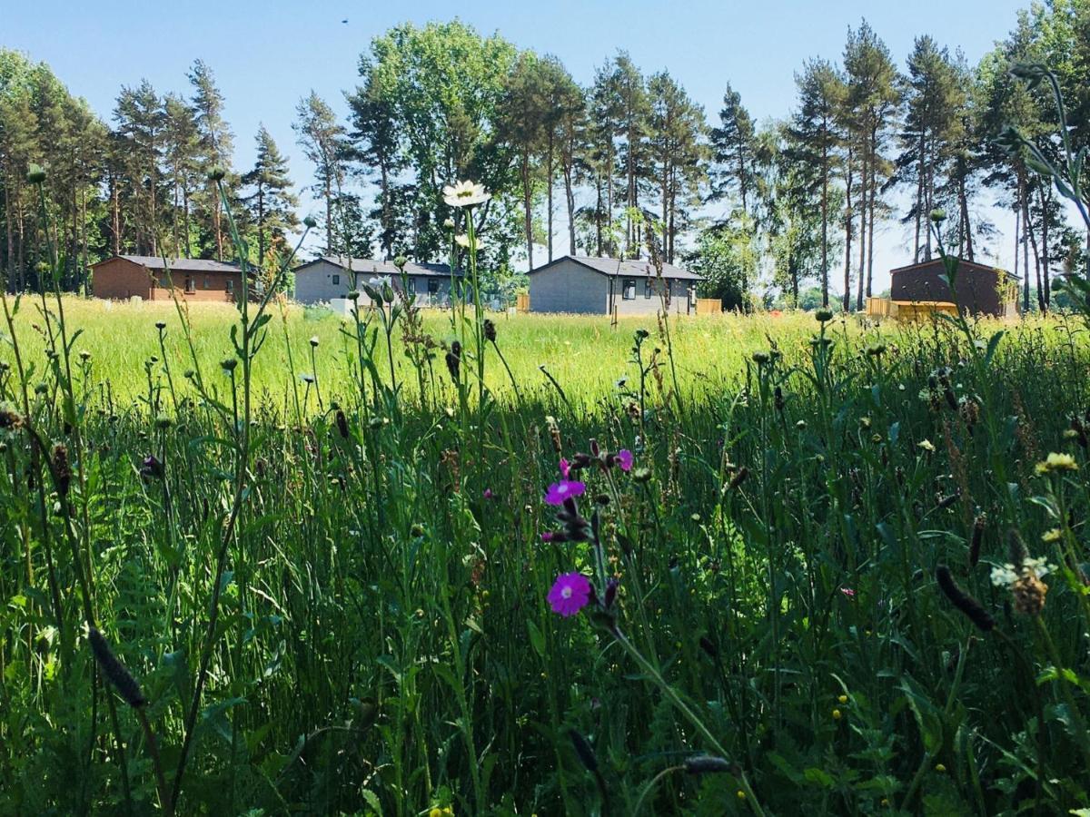 Hollicarrs - Wildflower Lodge ヨーク エクステリア 写真