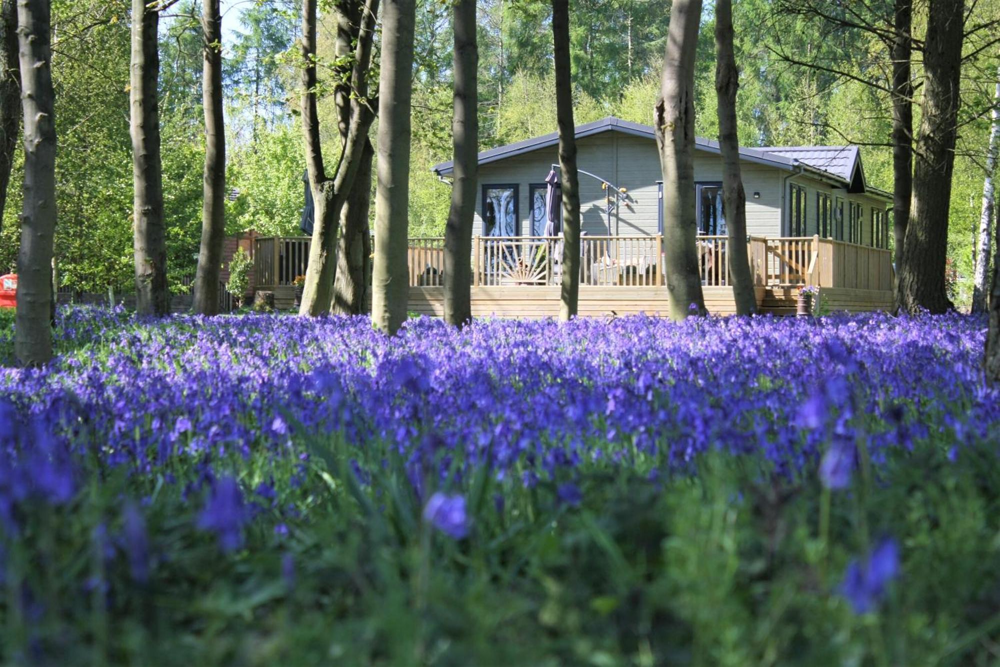 Hollicarrs - Wildflower Lodge ヨーク エクステリア 写真